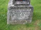 image of grave number 244825